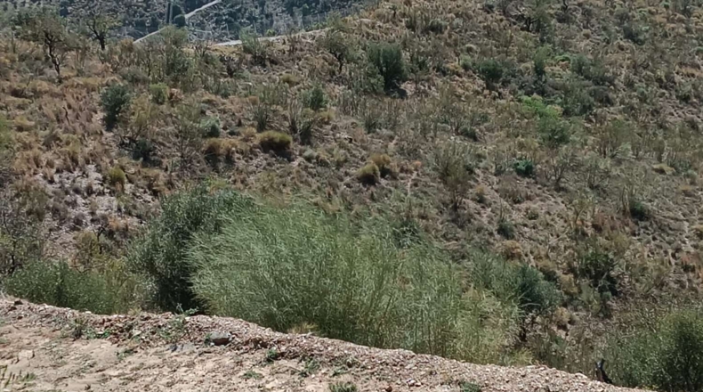 Málaga - Valdés - 5890m2
