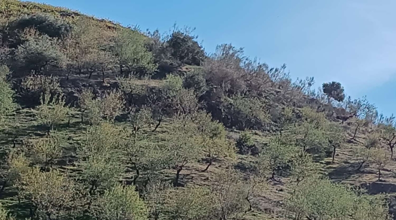 Malaga - Valdés - 4600m2