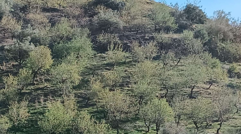 Malaga - Valdés - 4600m2