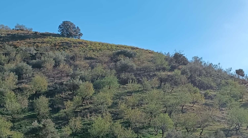 Malaga - Valdés - 4600m2