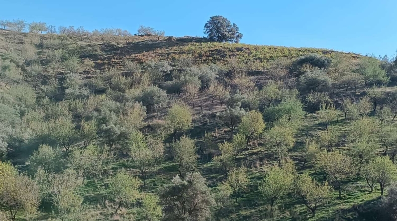 Malaga - Valdés - 4600m2