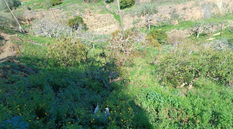 Málaga - Valdés - 1900m2