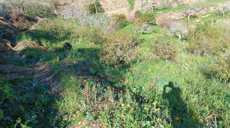 Málaga - Valdés - 1900m2
