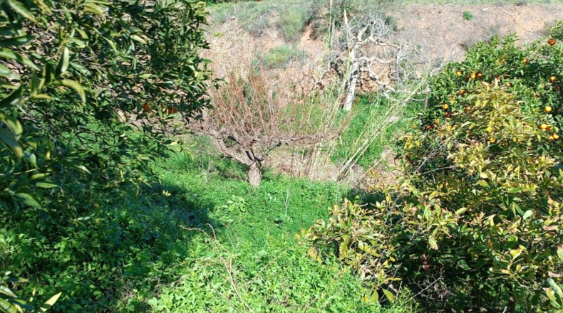 Málaga - Valdés - 1900m2