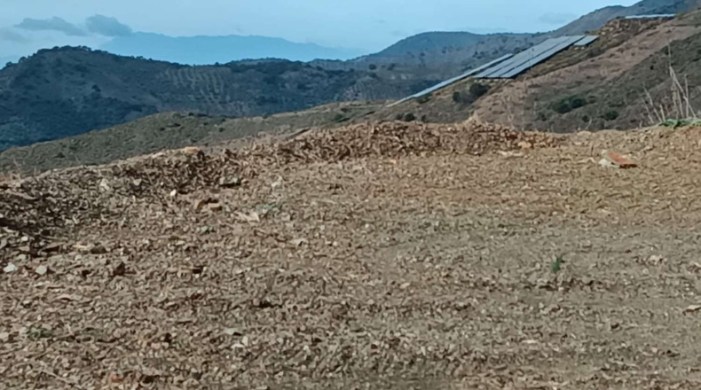 Málaga - Valdés - 3800m2
