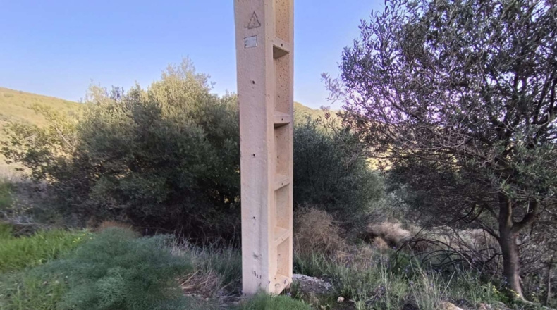 Málaga - Valdés - 7000m2