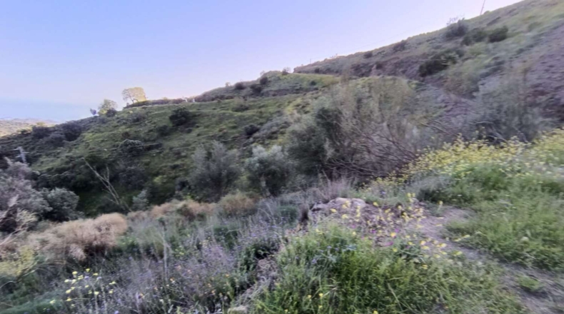 Málaga - Valdés - 7000m2