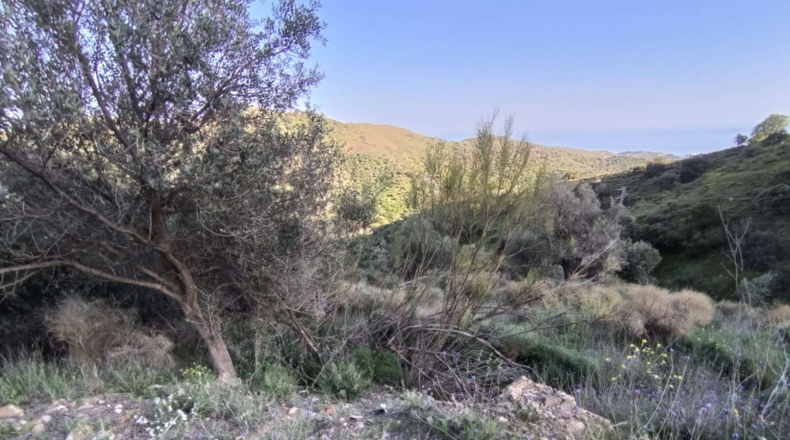Málaga - Valdés - 7000m2