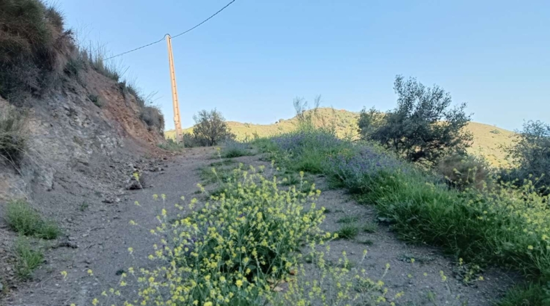 Málaga - Valdés - 7000m2