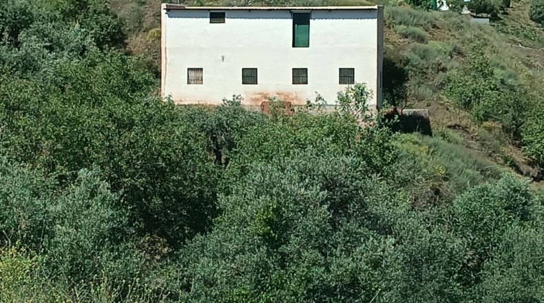 Málaga - Almáchar - 1000m2