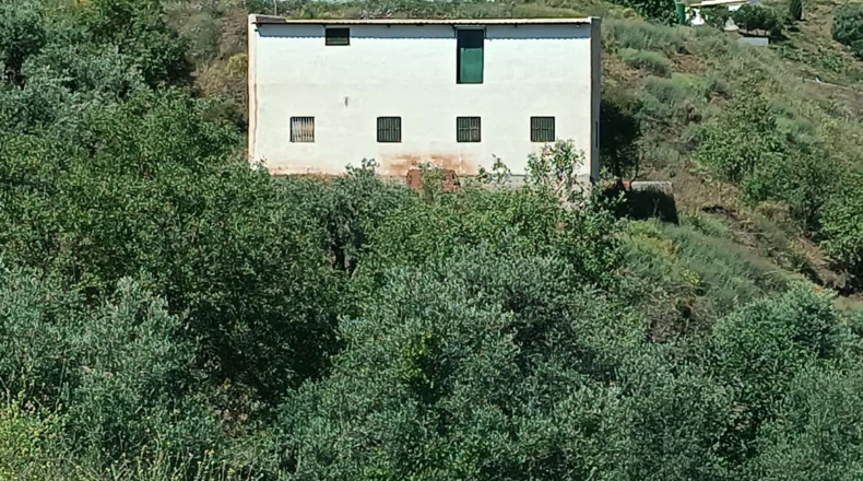 Málaga - Almáchar - 1000m2