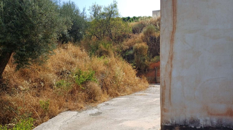 Málaga - Almáchar - 1000m2
