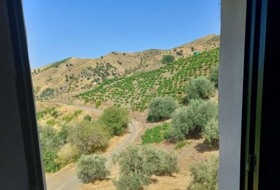 Foto 17