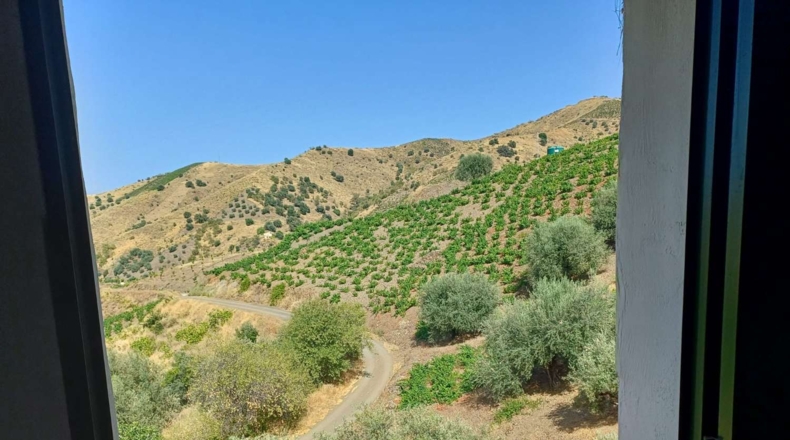 Málaga - Almáchar - 1000m2