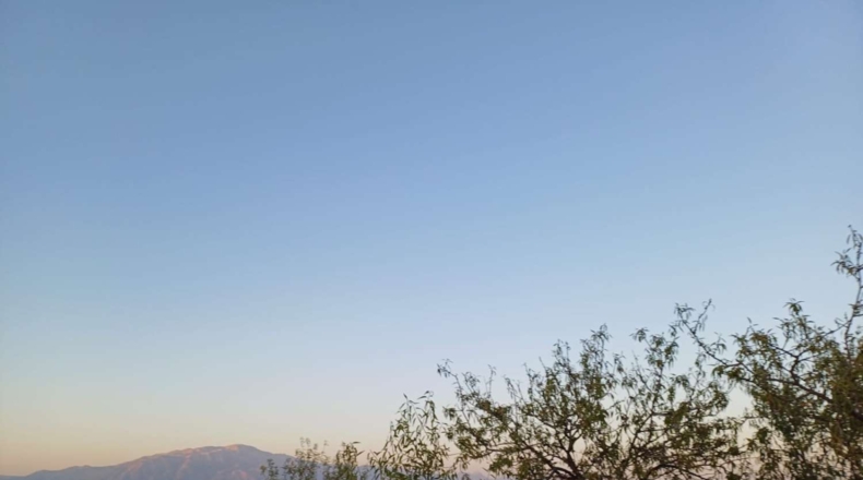 Málaga - Almáchar - 3600m2
