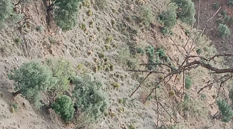 Málaga - Macharaviaya - 290m2