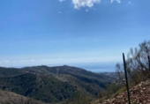 Terreny no urbanitzable en venda a Moclinejo ref.: TR278145 foto