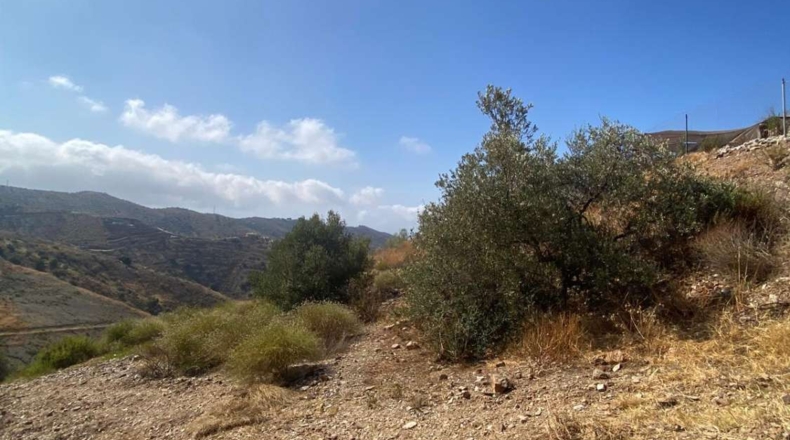 Málaga - Moclinejo - 4380m2