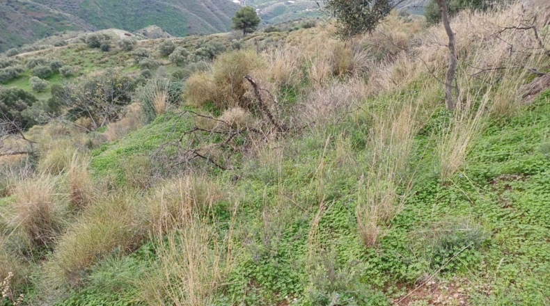 Málaga - Valdés - 15000m2