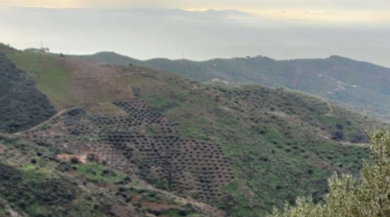Málaga - Valdés - 15000m2