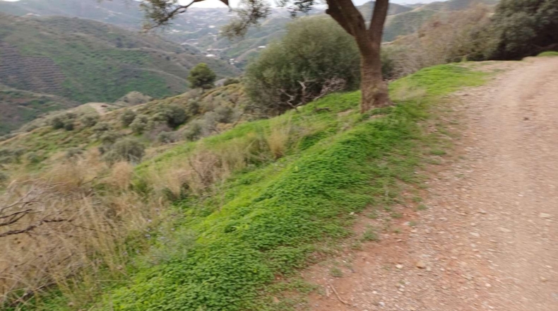 Málaga - Valdés - 15000m2