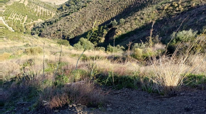 Málaga - Benamargosa - 5400m2