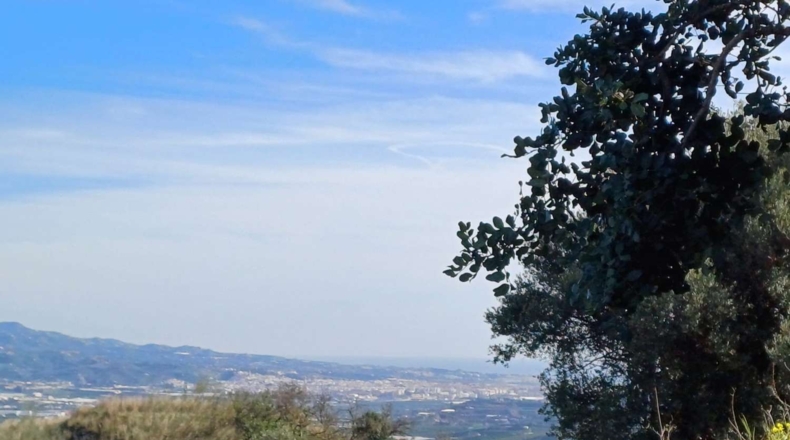 Málaga - Benamargosa - 5400m2