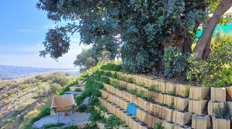 Málaga - Benamargosa - 5400m2