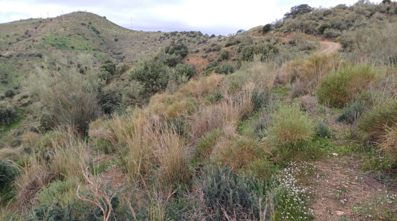 Málaga - Macharaviaya - 18500m2