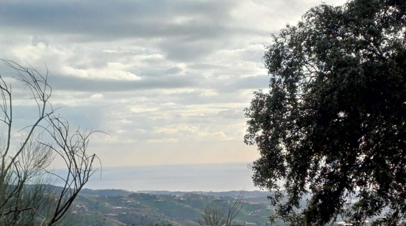 Málaga - Macharaviaya - 18500m2
