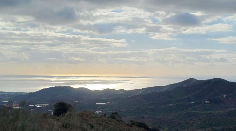 Málaga - Macharaviaya - 18500m2