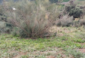 Foto 18