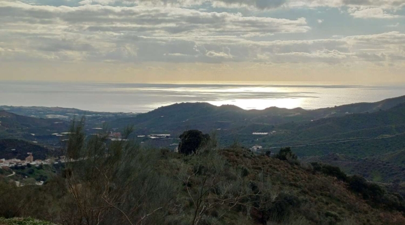 Málaga - Macharaviaya - 18500m2