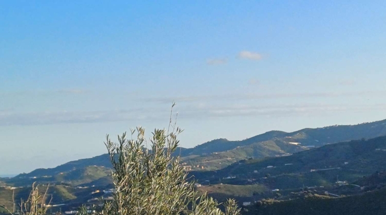 Málaga - Almáchar - 5000m2