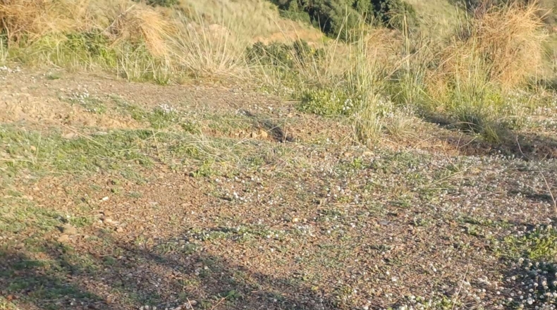 Málaga - Almáchar - 5000m2