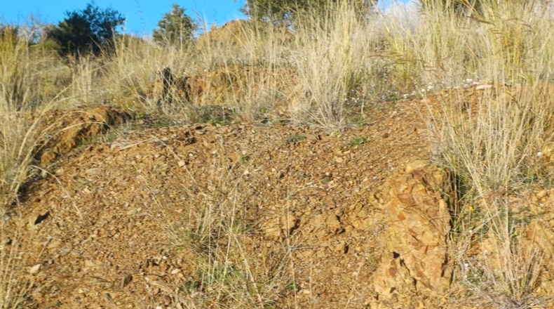 Málaga - Almáchar - 5000m2