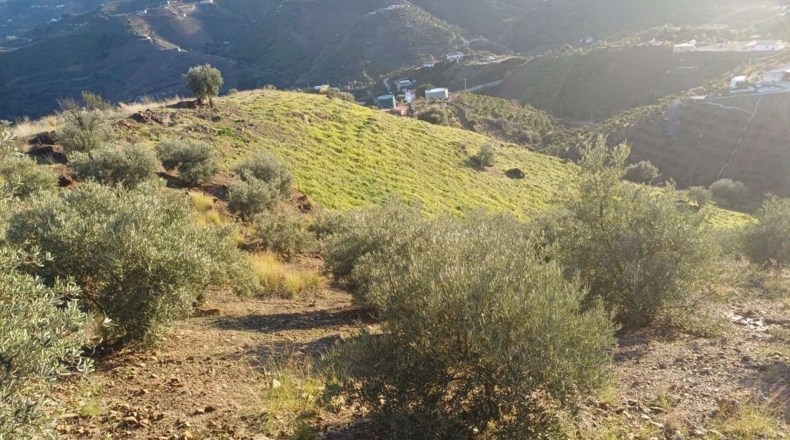 Málaga - Almáchar - 5000m2