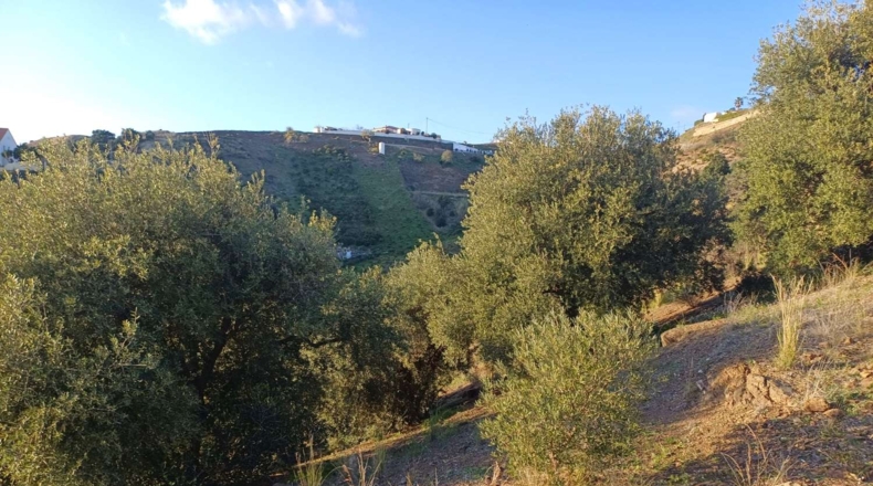 Málaga - Almáchar - 5000m2