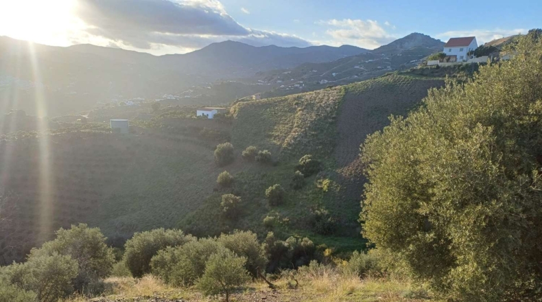 Málaga - Almáchar - 5000m2