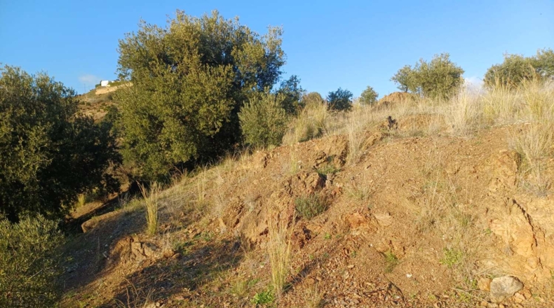 Málaga - Almáchar - 5000m2