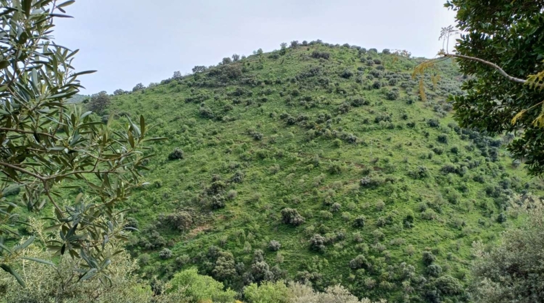 Málaga - Málaga - 120000m2