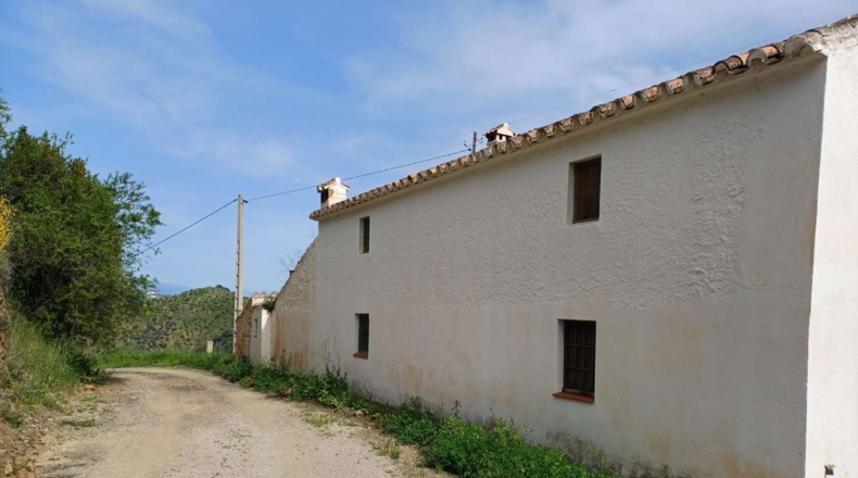 Málaga - Málaga - 120000m2