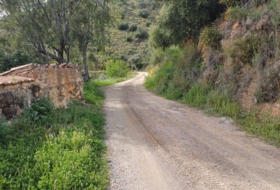 Foto 15