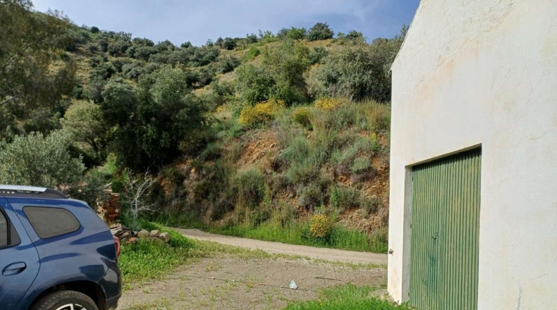 Málaga - Málaga - 120000m2