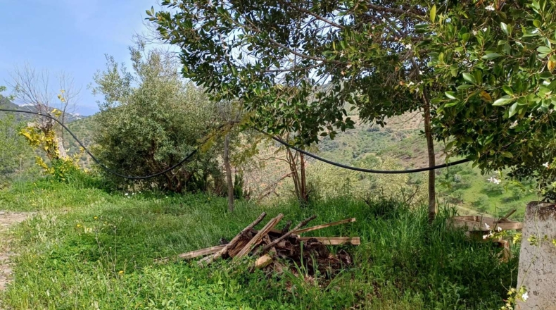 Málaga - Málaga - 120000m2