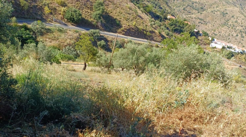 Malaga - Moclinejo - 730m2