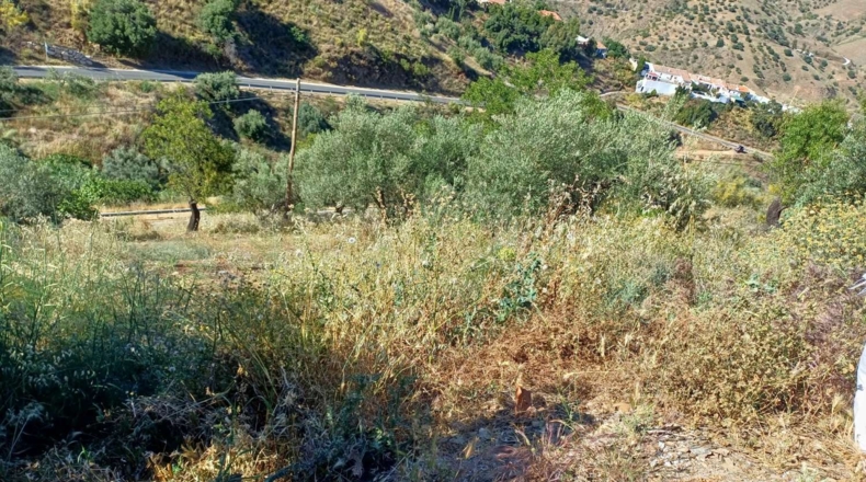 Malaga - Moclinejo - 730m2