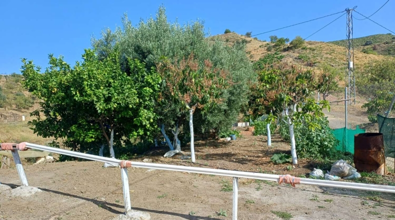 Malaga - El Borge - 8300m2