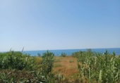 Terreny no urbanitzable en venda a Torrox ref.: TR234175 foto
