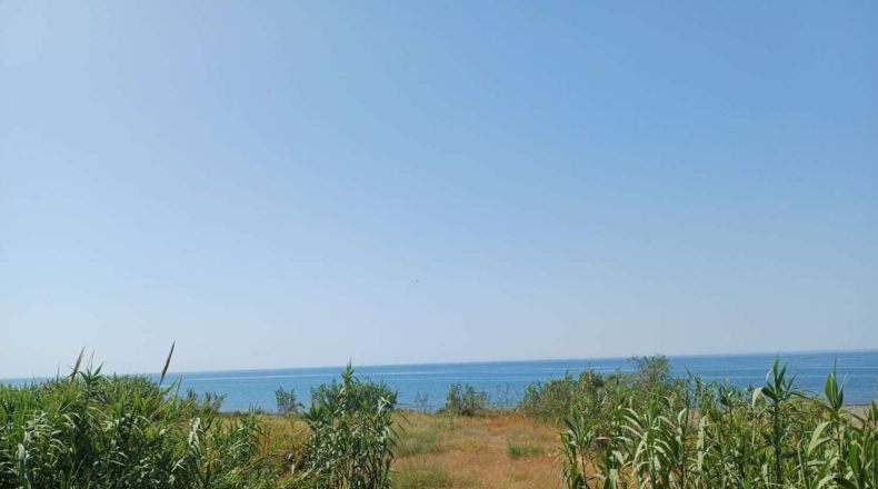 Málaga - Торрокс - 1500m2